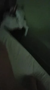 带老婆来重庆玩了，前五秒是生活实际样子，回酒店就先泻火